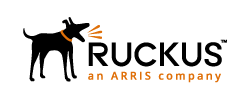 Ruckus Networks Logo
